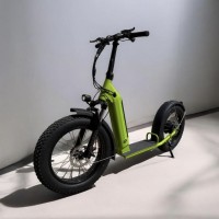 Электросамокат внедорожный Enoch Lohas KSSP002 48 В 500 Вт Green Электросамокат внедорожный Enoch Lohas KSSP002 48 В 500 Вт Green