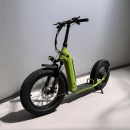 Электросамокат внедорожный Enoch Lohas KSSP002 48 В 500 Вт Green