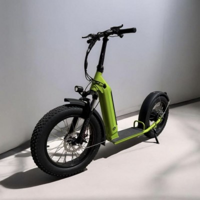 Электросамокат внедорожный Enoch Lohas KSSP002 48 В 500 Вт Green