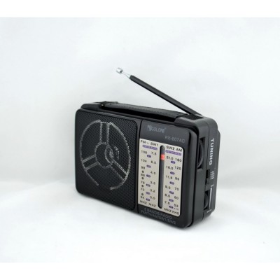 Радиоприемник от сети с пятью волнами 16см*10см*5.5см GOLON RX-A606AC