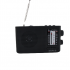 Портативний радіоприймач golon зі знімним акумулятором, USB, SD, Bluetooth ICF-507BT